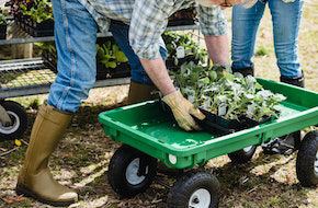 Gardening Services